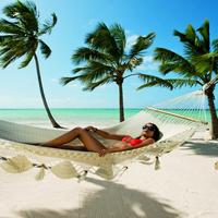 Отзыв от Жанна - DTV виза